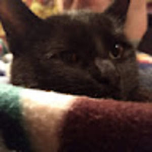 Meet your Posher, Ian